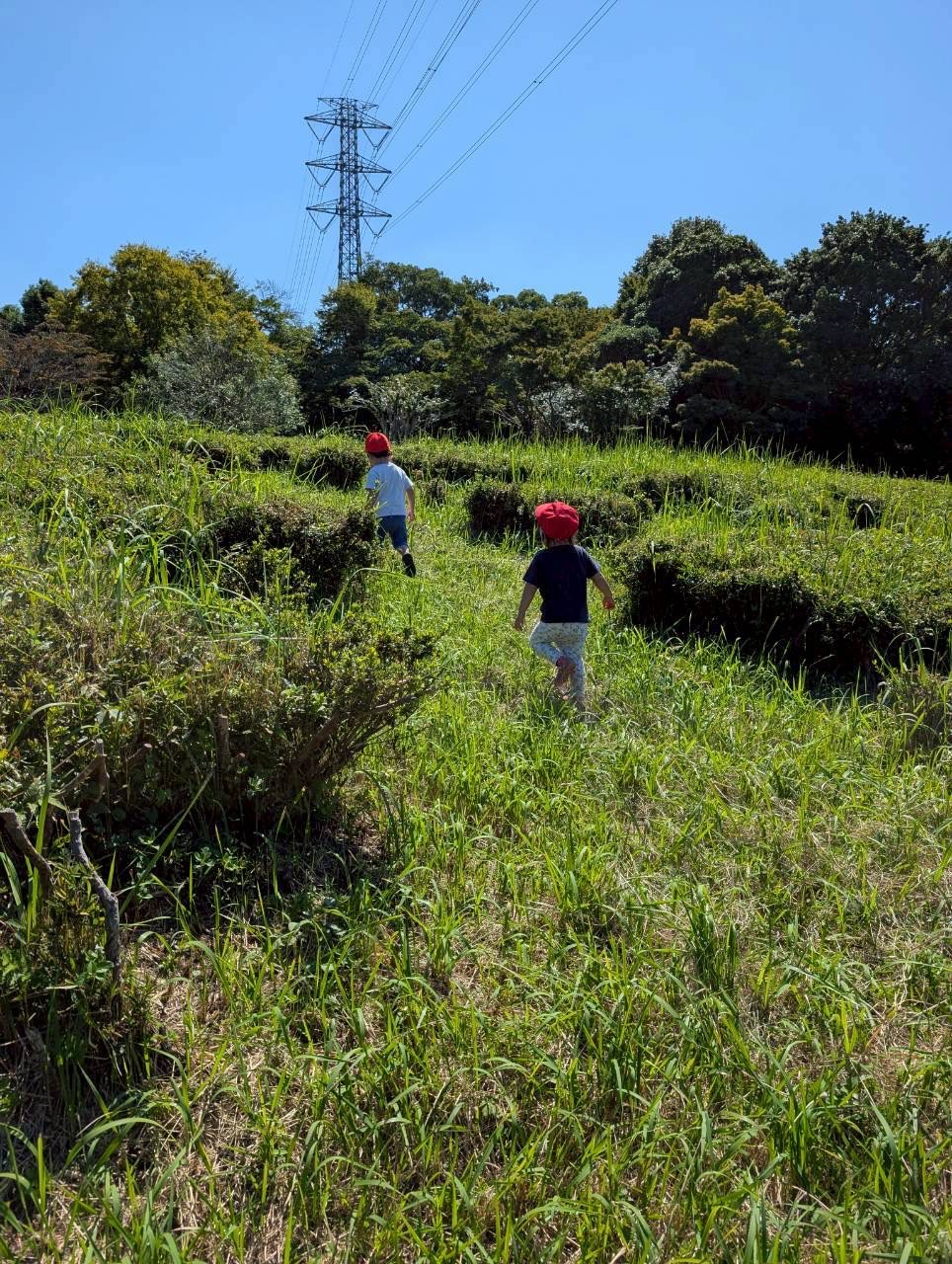 草地を走って遊ぶ子どもたち
